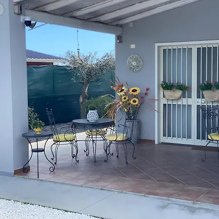 The Sunshine House